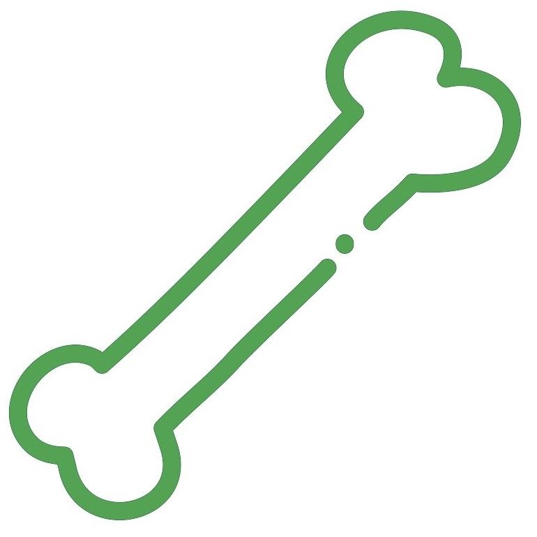 Digital x-ray icon