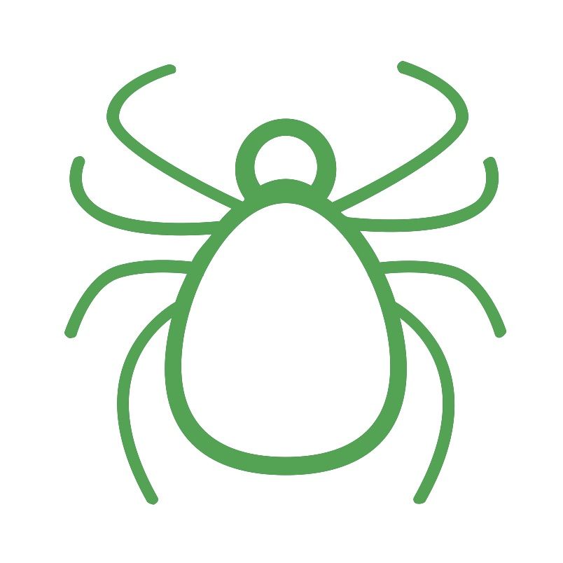 Flea, tick and worms icon